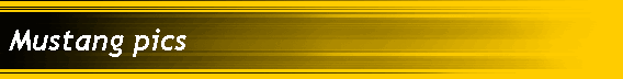 Mustang pics