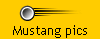 Mustang pics