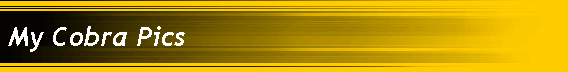 My Cobra Pics