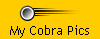 My Cobra Pics